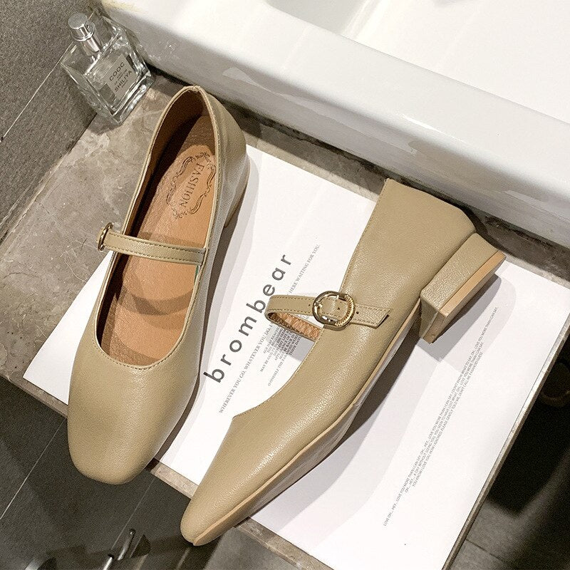 Women Low Heel Shoes Square Toe Retro Mary Janes Pumps Casual Spring Autumn Lady Office Daily Shoes