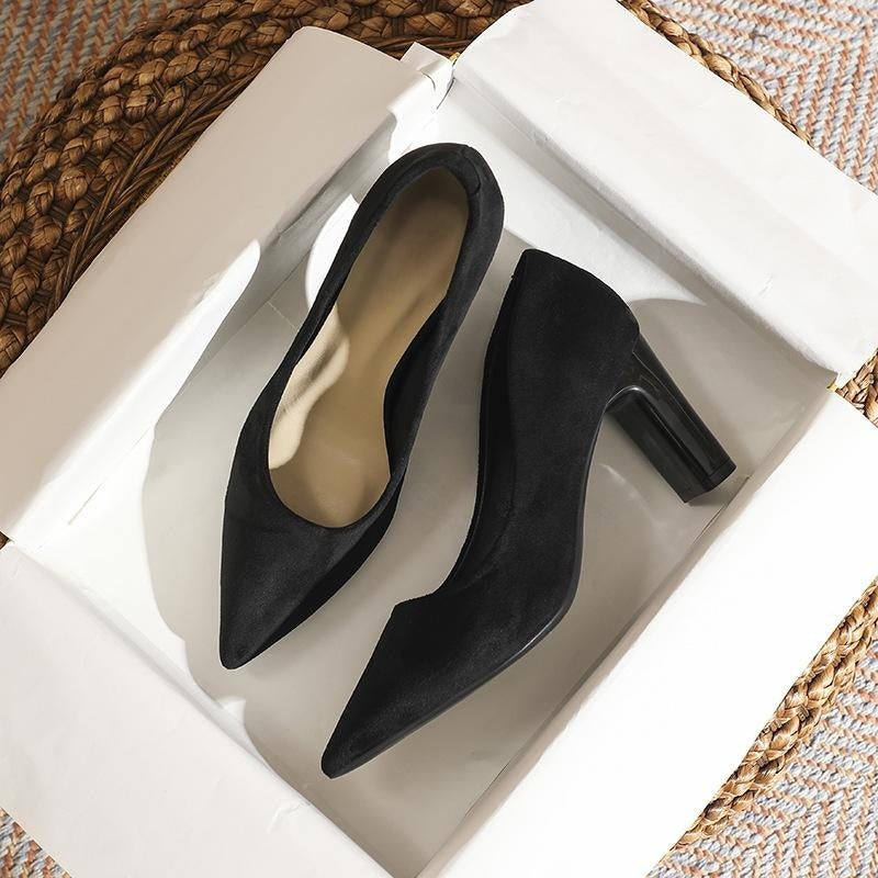 xiangtuibao Spring and Summer New Style Temperament Pointed Toe Black High Heels Women Chunky Heel Minority All-Match Commuter Shoes Women