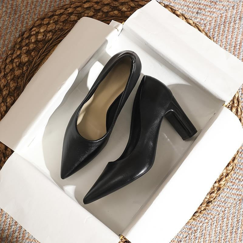 xiangtuibao Spring and Summer New Style Temperament Pointed Toe Black High Heels Women Chunky Heel Minority All-Match Commuter Shoes Women