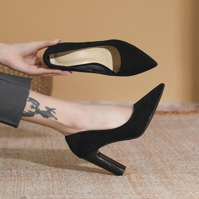 xiangtuibao Spring and Summer New Style Temperament Pointed Toe Black High Heels Women Chunky Heel Minority All-Match Commuter Shoes Women