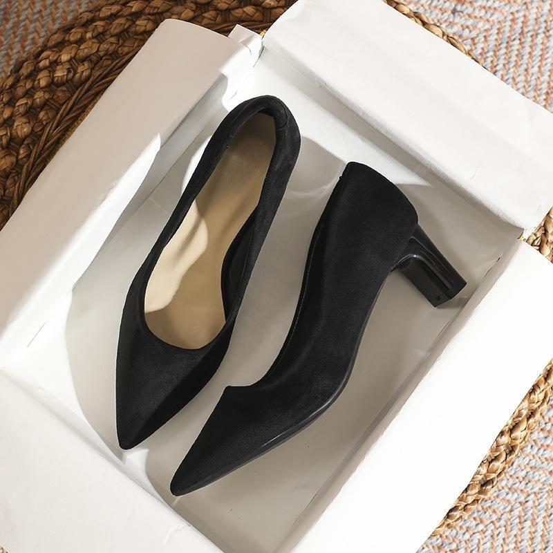 xiangtuibao Spring and Summer New Style Temperament Pointed Toe Black High Heels Women Chunky Heel Minority All-Match Commuter Shoes Women