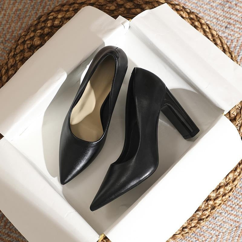 xiangtuibao Spring and Summer New Style Temperament Pointed Toe Black High Heels Women Chunky Heel Minority All-Match Commuter Shoes Women
