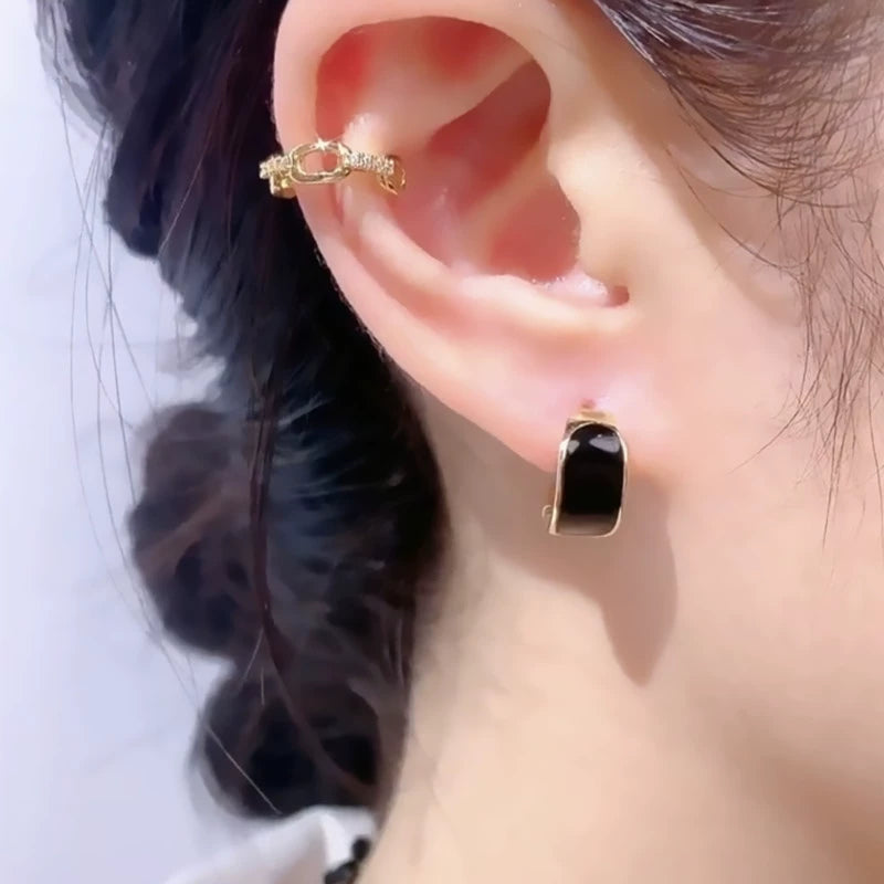 Temperament black ear buckle autumn and winter earrings women's niche design exquisite simple small earrings unique stud earrings light luxury earrings