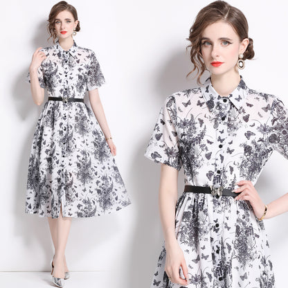 Summer high-end retro temperament short-sleeved lapel waist thin single-breasted a-word ink painting printed dress