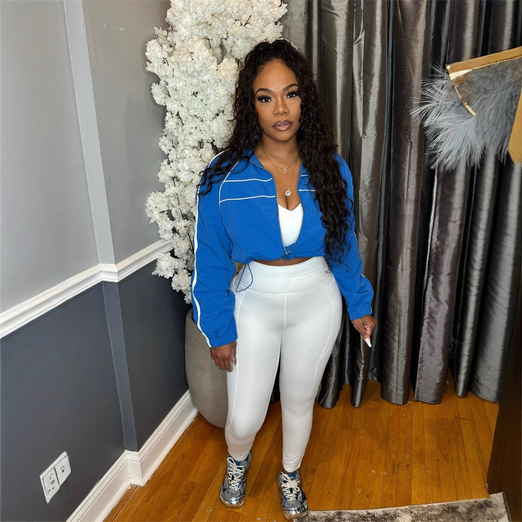 summer  New  sexy babes short long-sleeved contrasting webbing women's jacket women