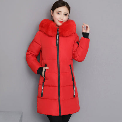 2025 cotton-padded clothes women's medium and long slim and thin cotton-padded clothes jacket large size large fur collar thickened large size cotton-padded jacket tide wholesale
